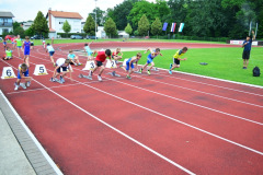 Priložnost za mlade 16.6.2013