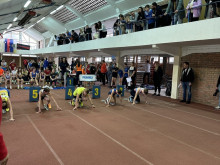 DP-SLO_Celje-2024_2